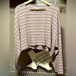 American Eagle Cropped Long Sleeved Top